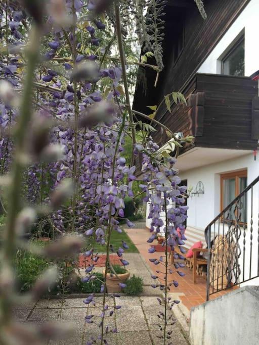 Charmantes Landhaus Mit Garten Und Traumhaftem Fernblick Thal  Luaran gambar