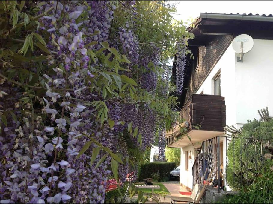 Charmantes Landhaus Mit Garten Und Traumhaftem Fernblick Thal  Luaran gambar