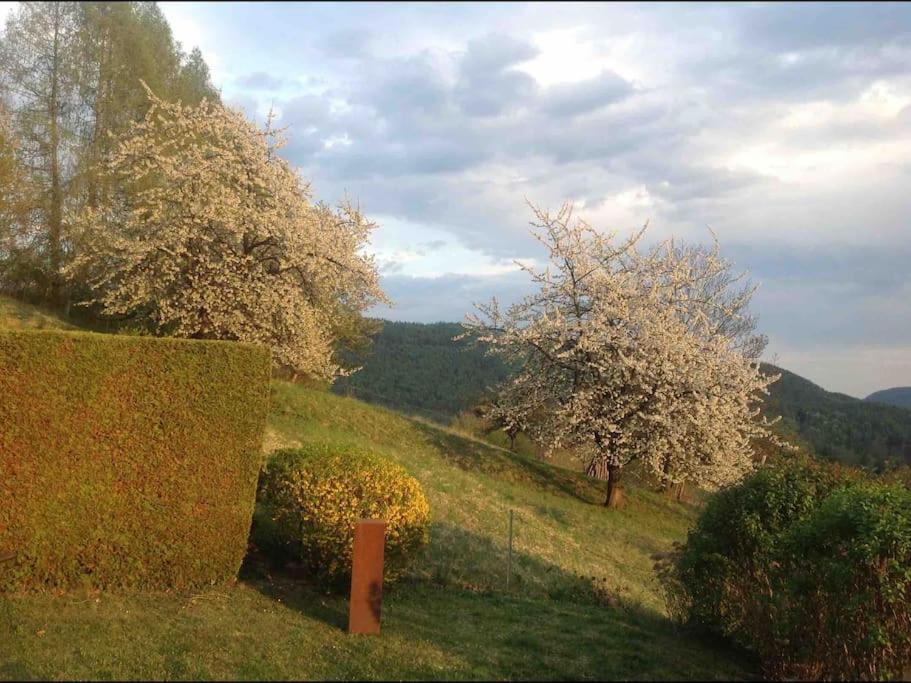 Charmantes Landhaus Mit Garten Und Traumhaftem Fernblick Thal  Luaran gambar