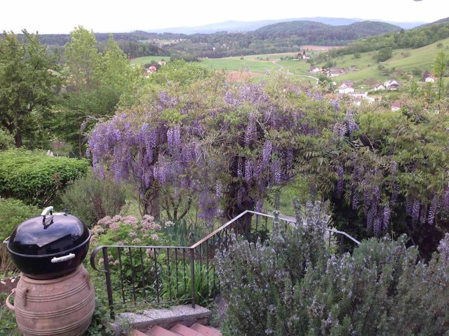 Charmantes Landhaus Mit Garten Und Traumhaftem Fernblick Thal  Luaran gambar